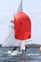 Lark 15-8575
