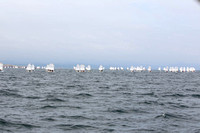 Regatta Fleet Monday 6th
